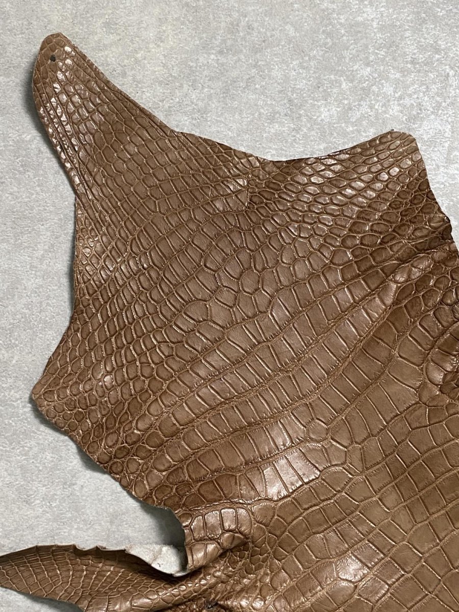 画像2: スモールクロコダイル　オーク　39 (2)