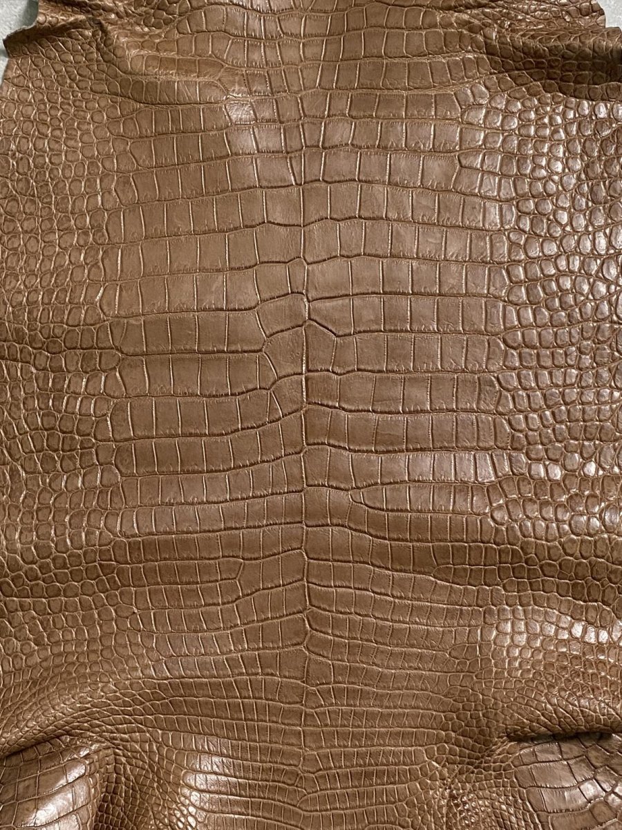 画像3: スモールクロコダイル　オーク　39 (3)