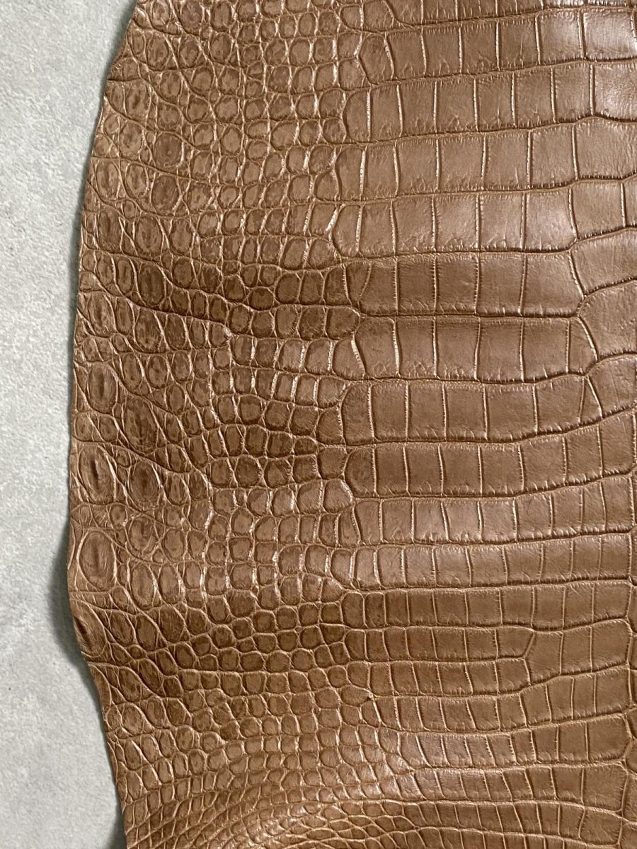 画像4: スモールクロコダイル　オーク　39 (4)