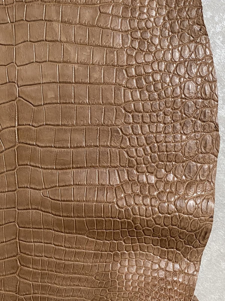 画像5: スモールクロコダイル　オーク　39 (5)