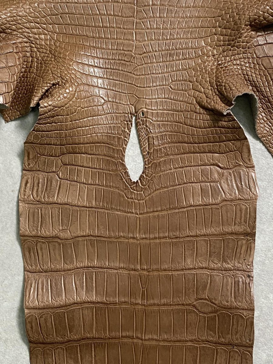 画像6: スモールクロコダイル　オーク　39 (6)