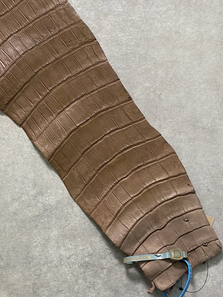 画像7: スモールクロコダイル　オーク　39 (7)