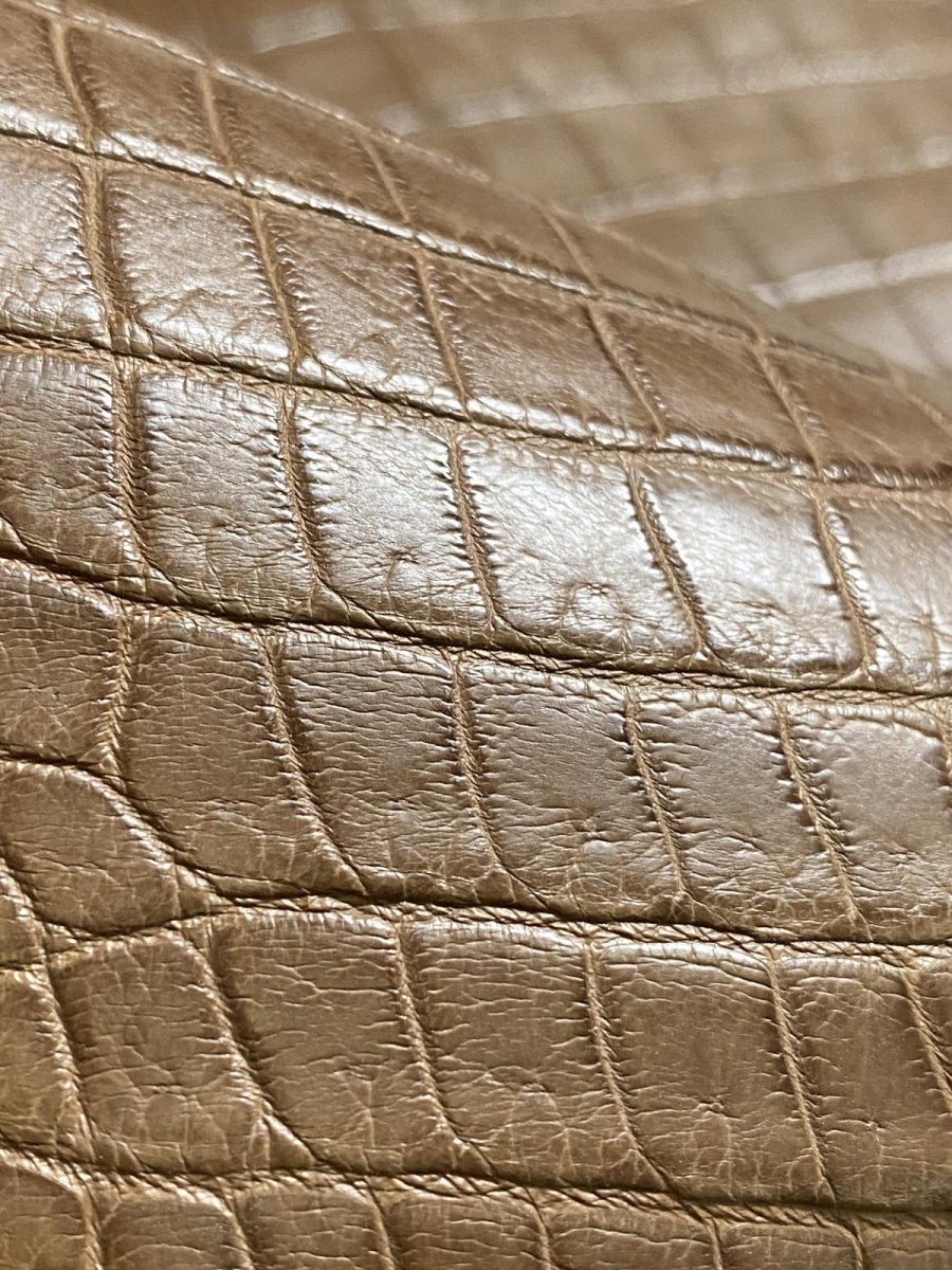 画像9: スモールクロコダイル　オーク　39 (9)