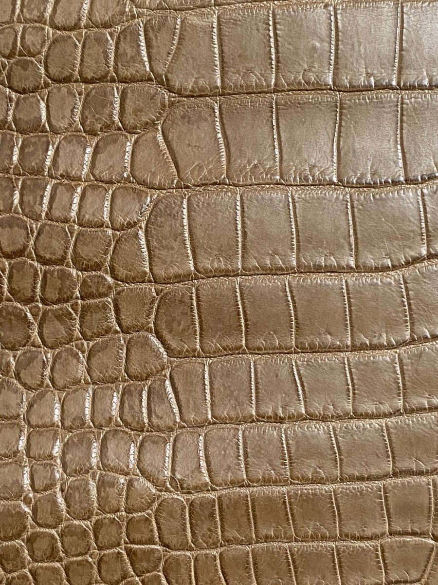 画像8: スモールクロコダイル　オーク　39 (8)