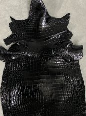 画像4: ナイルクロコ　シャイニングブラック　36　ワニ革　クロコダイル (4)