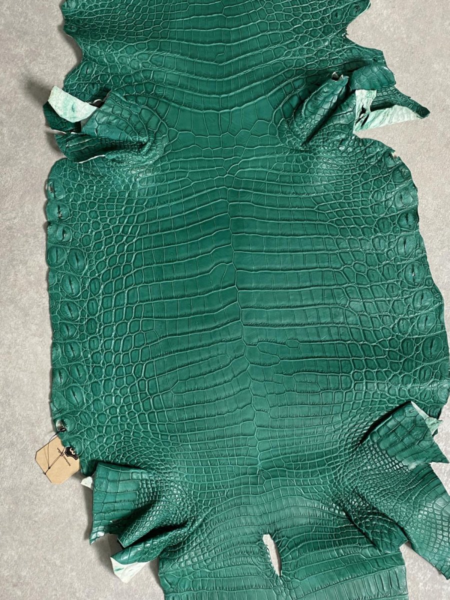 画像5: ナイルクロコダイル グリーン 40 鰐革 ワニ革 (5)