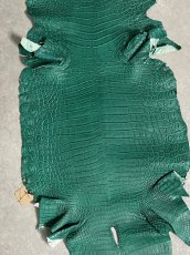 画像5: ナイルクロコダイル　グリーン　40　鰐革　ワニ革 (5)