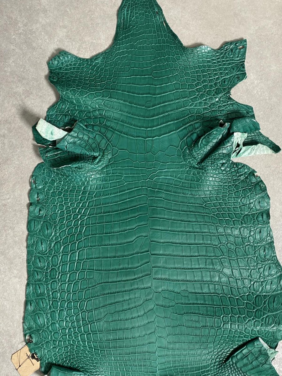画像6: ナイルクロコダイル グリーン 40 鰐革 ワニ革 (6)