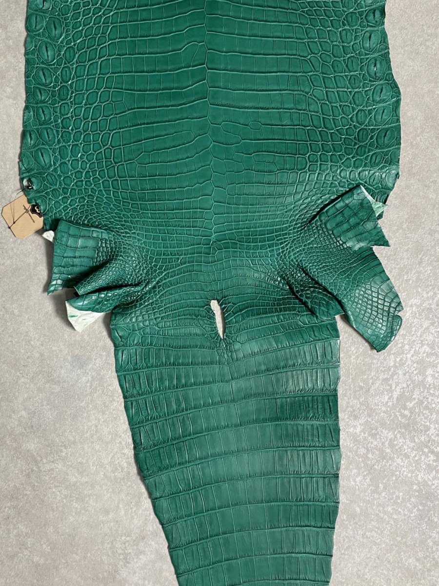 画像7: ナイルクロコダイル グリーン 40 鰐革 ワニ革 (7)