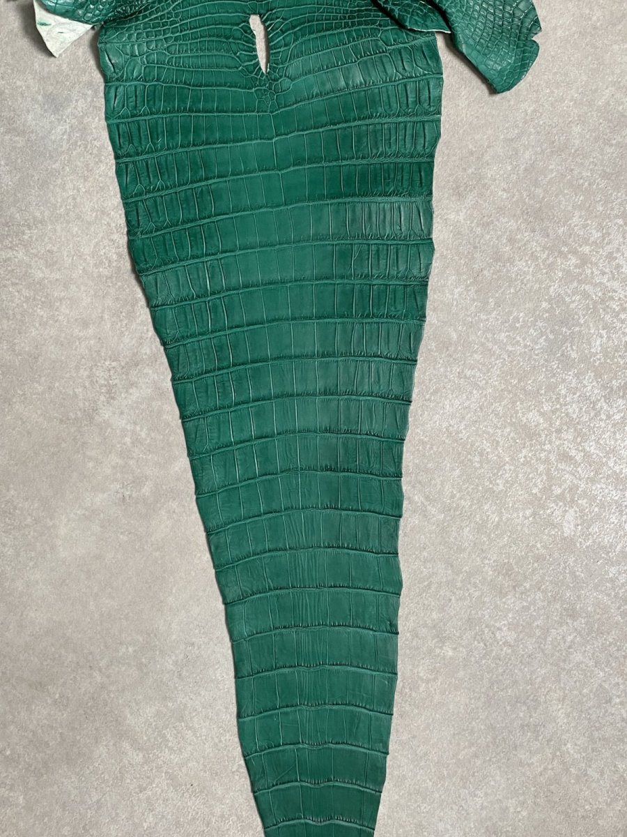 画像8: ナイルクロコダイル グリーン 40 鰐革 ワニ革 (8)