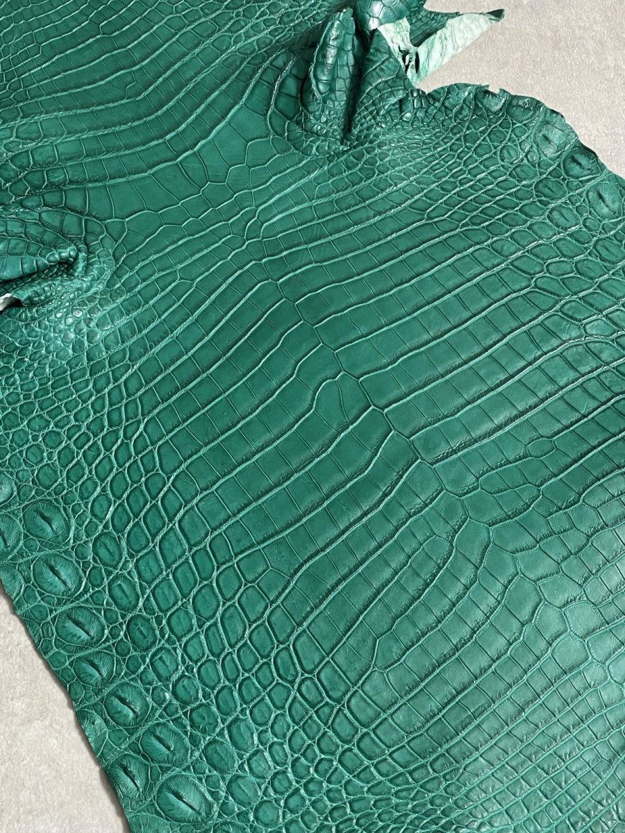 画像3: ナイルクロコダイル グリーン 40 鰐革 ワニ革 (3)