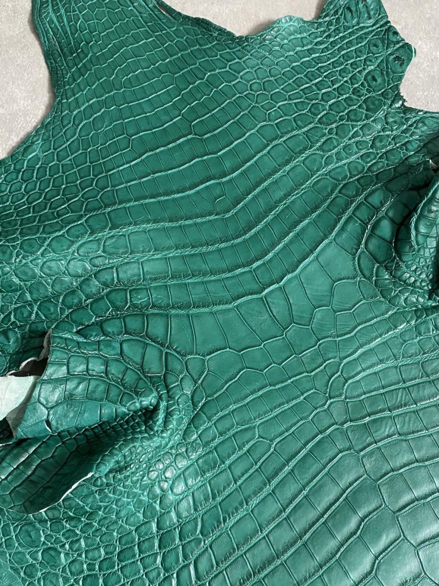 画像4: ナイルクロコダイル グリーン 40 鰐革 ワニ革 (4)