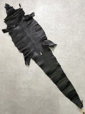 画像1: スモールクロコダイル　ブラック　36　ポロサス　ワニ革　クロコダイル革　 (1)