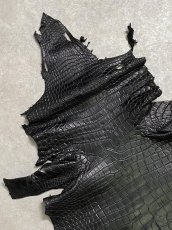 画像2: スモールクロコダイル　ブラック　36　ポロサス　ワニ革　クロコダイル革　 (2)