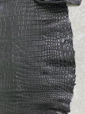 画像6: スモールクロコダイル　ブラック　36　ポロサス　ワニ革　クロコダイル革　 (6)