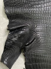 画像10: スモールクロコダイル　ブラック　36　ポロサス　ワニ革　クロコダイル革　 (10)