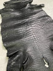 画像8: スモールクロコダイル　ブラック　36　ポロサス　ワニ革　クロコダイル革　 (8)