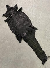 画像1: スモールクロコダイル　ブラック　25　ポロサス　ワニ革　クロコダイル革　 (1)