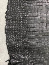 画像5: スモールクロコダイル　ブラック　25　ポロサス　ワニ革　クロコダイル革　 (5)