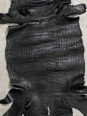 画像3: スモールクロコダイル　ブラック　32　ポロサス　ワニ革　クロコダイル革　 (3)
