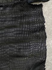 画像7: スモールクロコダイル　ブラック　32　ポロサス　ワニ革　クロコダイル革　 (7)