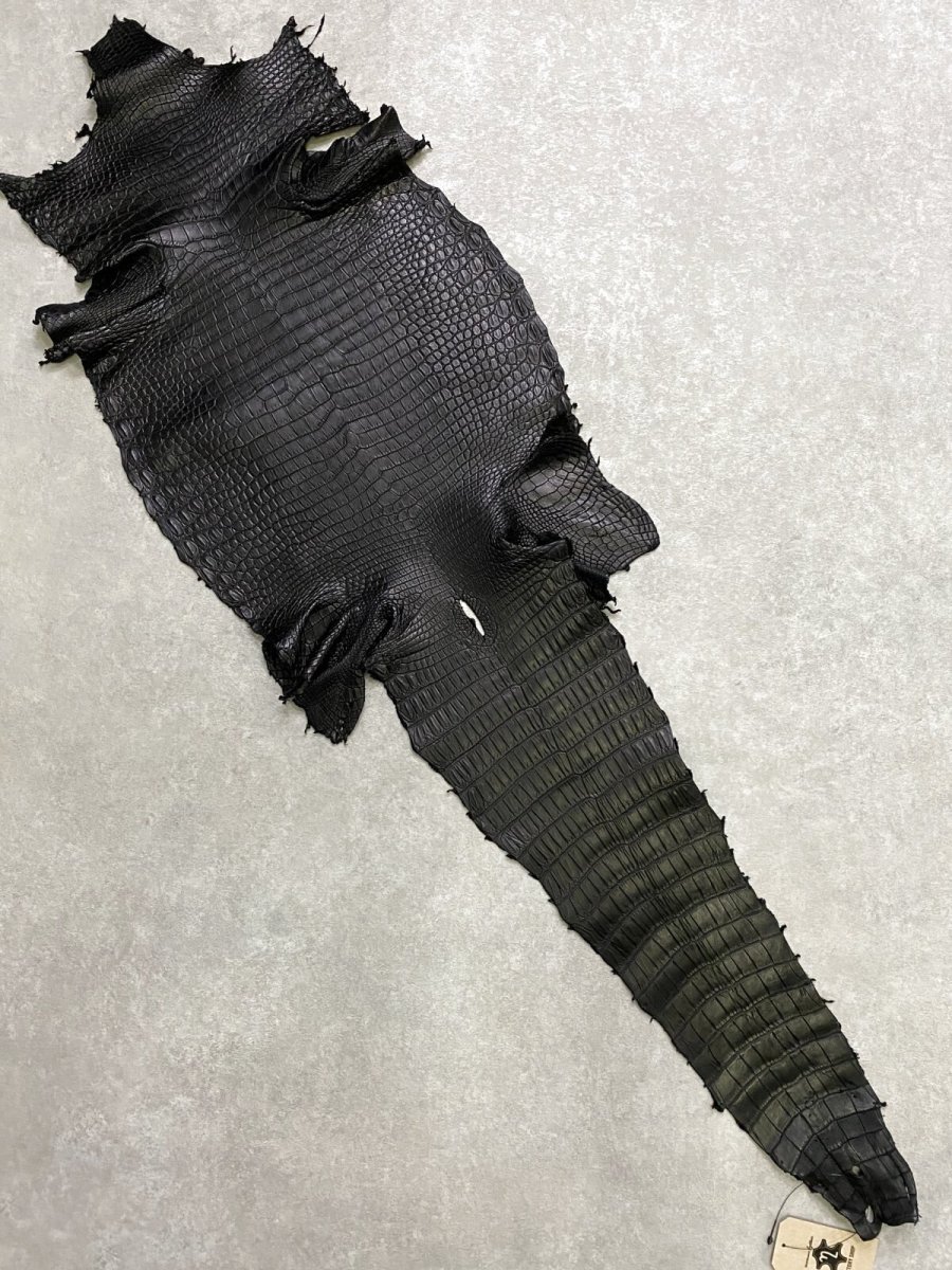 画像1: スモールクロコダイル　ブラック　37　ポロサス　ワニ革　クロコダイル革　 (1)