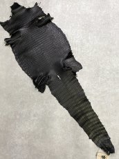 画像1: スモールクロコダイル　ブラック　37　ポロサス　ワニ革　クロコダイル革　 (1)