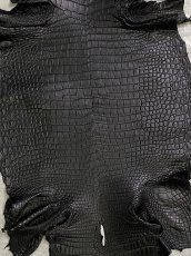 画像3: スモールクロコダイル　ブラック　37　ポロサス　ワニ革　クロコダイル革　 (3)