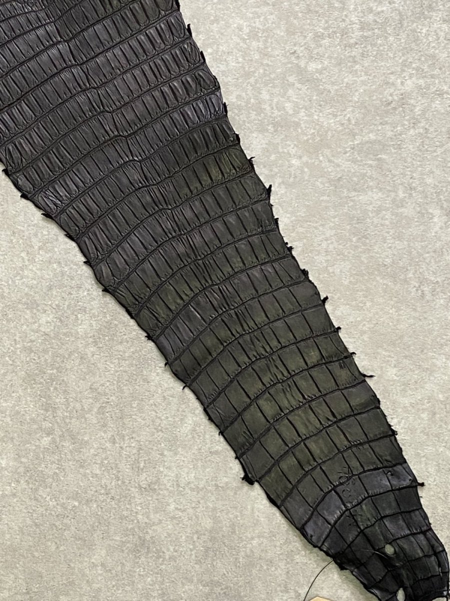 画像4: スモールクロコダイル　ブラック　37　ポロサス　ワニ革　クロコダイル革　 (4)