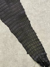 画像4: スモールクロコダイル　ブラック　37　ポロサス　ワニ革　クロコダイル革　 (4)