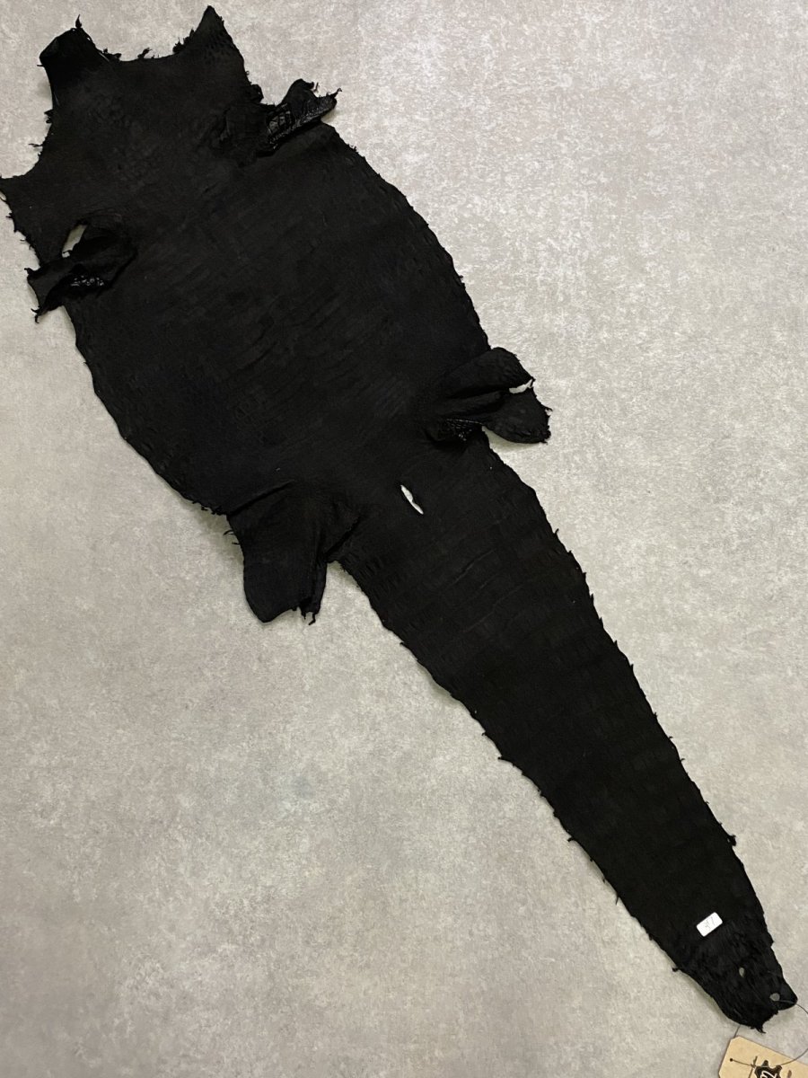 画像9: スモールクロコダイル　ブラック　37　ポロサス　ワニ革　クロコダイル革　 (9)