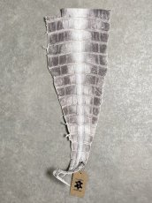 画像1: ヒマラヤクロコ　尻尾　しっぽ (1)