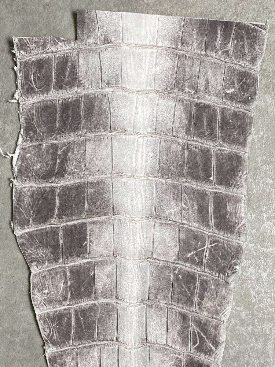 画像2: ヒマラヤクロコ　尻尾　しっぽ (2)