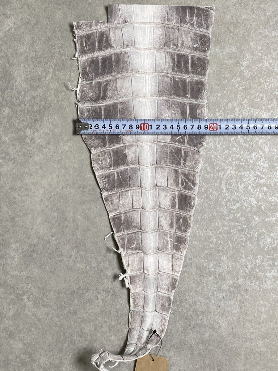 画像4: ヒマラヤクロコ　尻尾　しっぽ (4)