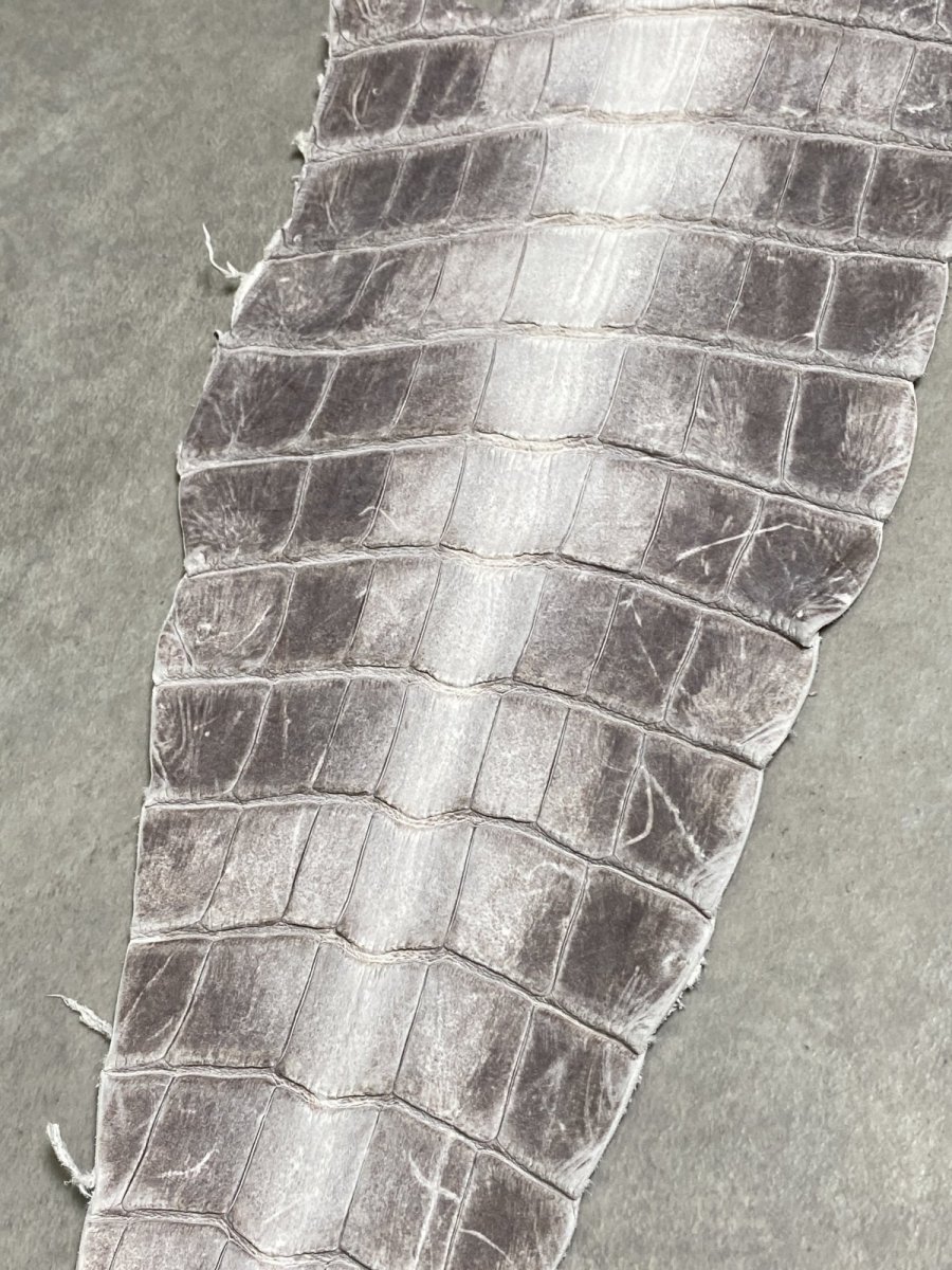 画像6: ヒマラヤクロコ　尻尾　しっぽ (6)