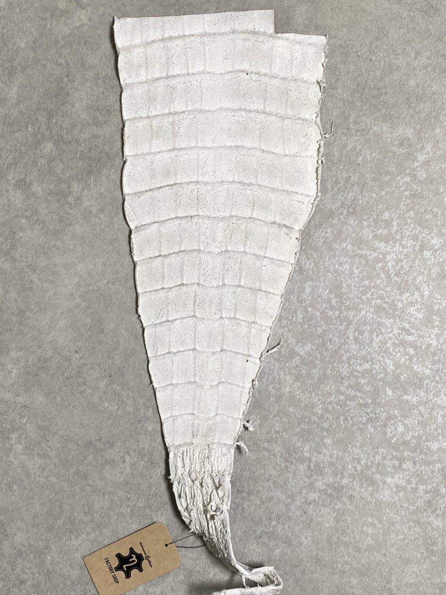 画像7: ヒマラヤクロコ　尻尾　しっぽ (7)