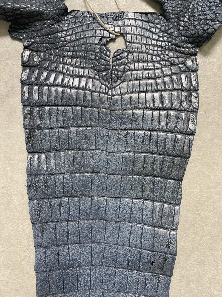 画像4: クロコダイル　尻尾　しっぽ (4)