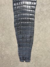 画像5: クロコダイル　尻尾　しっぽ (5)