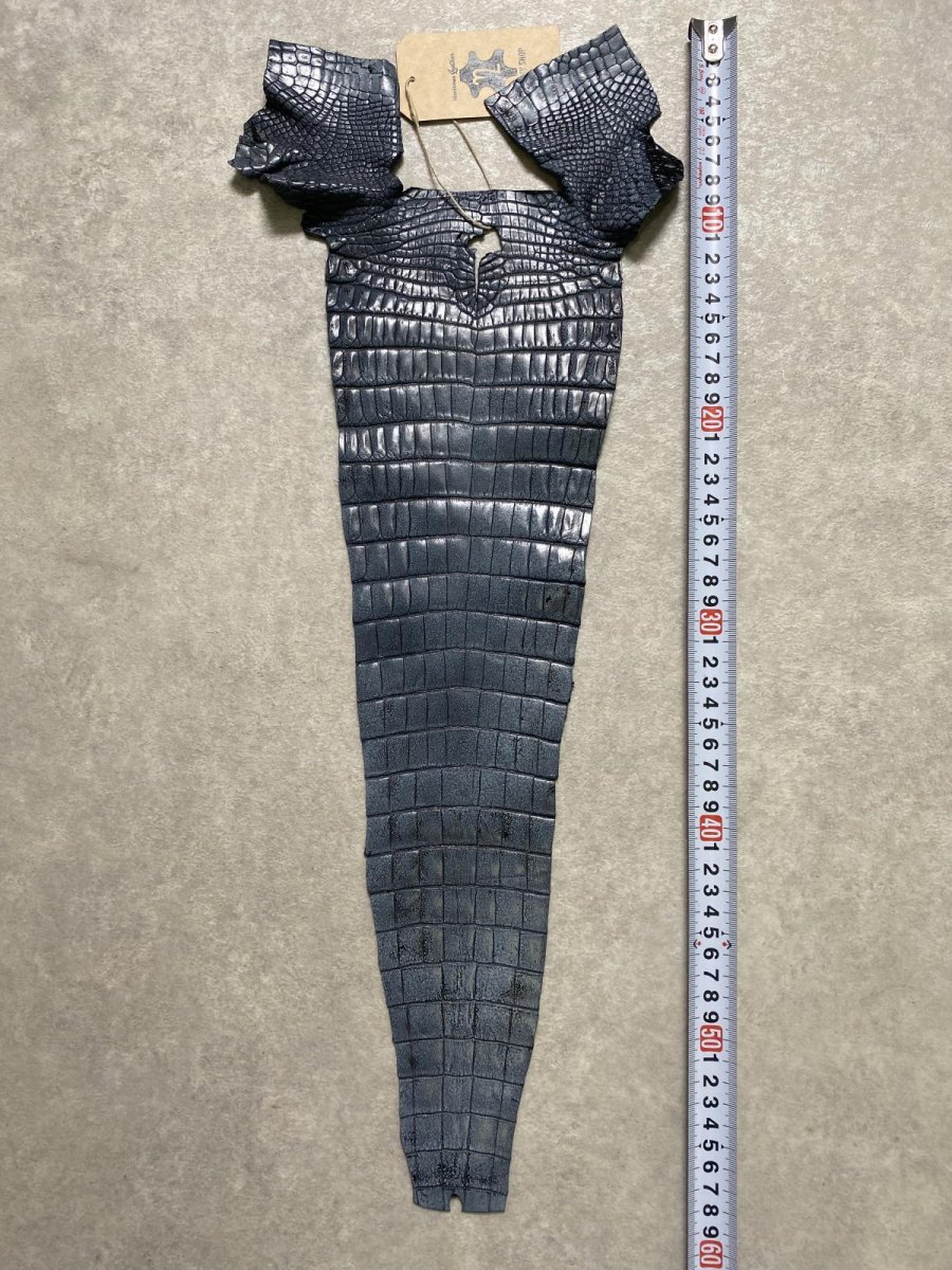 画像8: クロコダイル　尻尾　しっぽ (8)