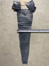 画像7: クロコダイル　尻尾　しっぽ (7)