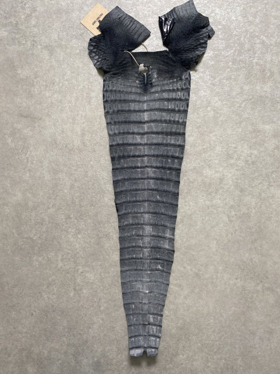 画像9: クロコダイル　尻尾　しっぽ (9)