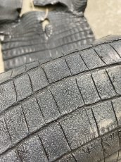 画像6: クロコダイル　尻尾　しっぽ (6)