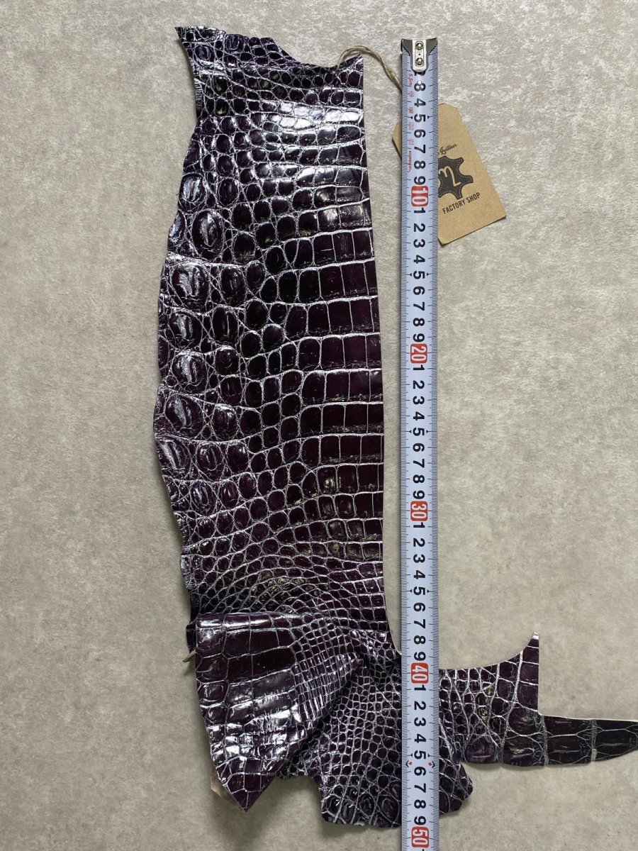 画像8: クロコダイル　ベリー　ブルガリパープル (8)
