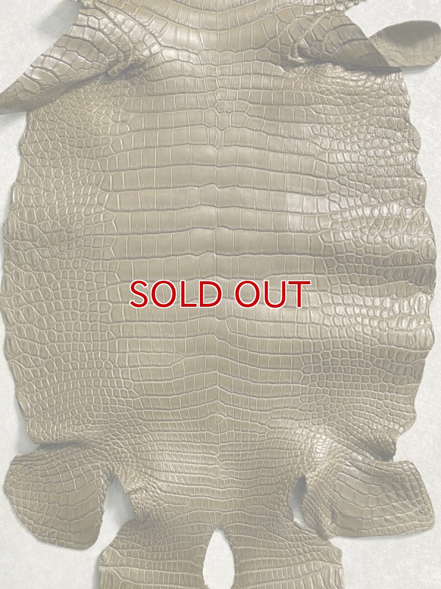 画像3: スモールクロコダイル　ポロサス　カーキ　36　ワニ革 (3)