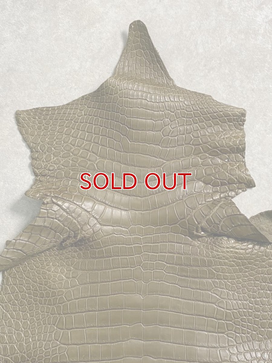 画像2: スモールクロコダイル　ポロサス　カーキ　36　ワニ革 (2)