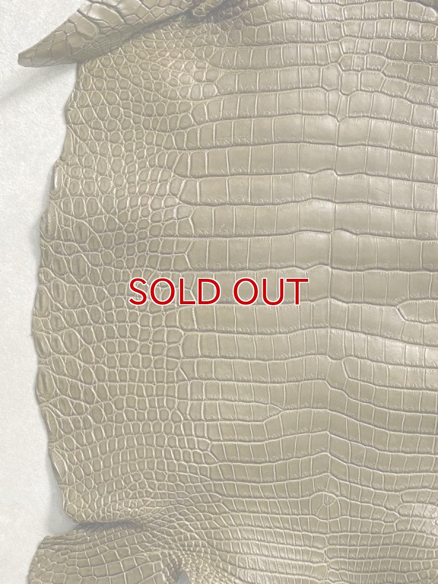 画像4: スモールクロコダイル　ポロサス　カーキ　36　ワニ革 (4)