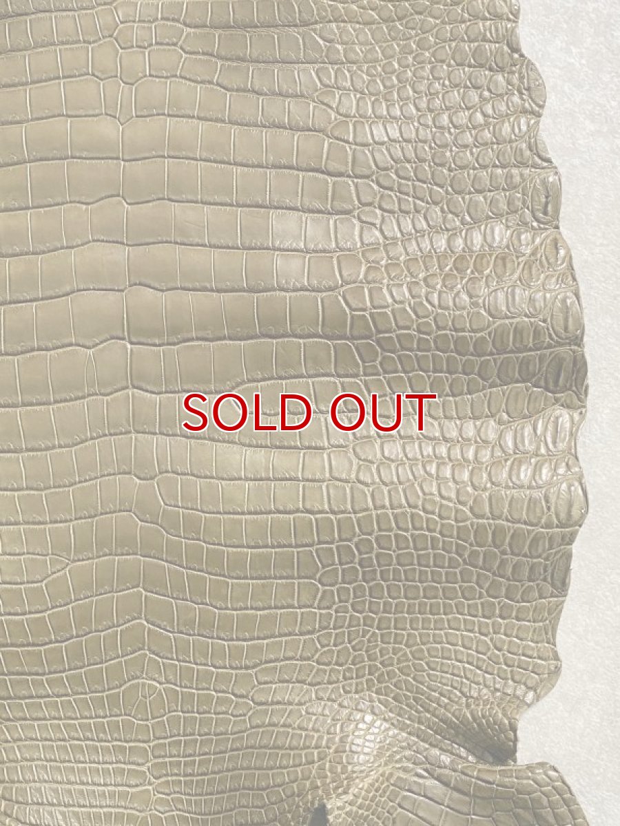 画像6: スモールクロコダイル　ポロサス　カーキ　36　ワニ革 (6)