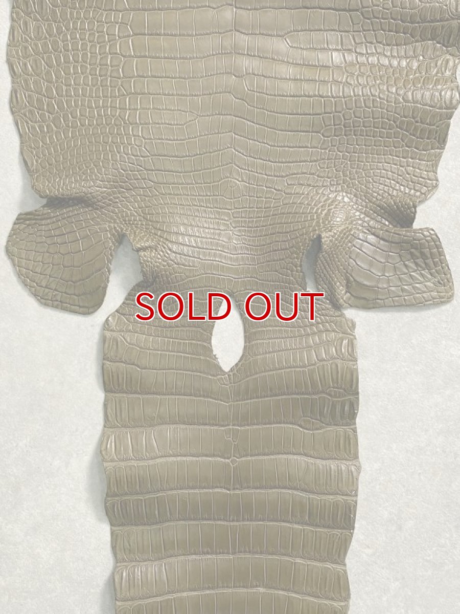画像7: スモールクロコダイル　ポロサス　カーキ　36　ワニ革 (7)