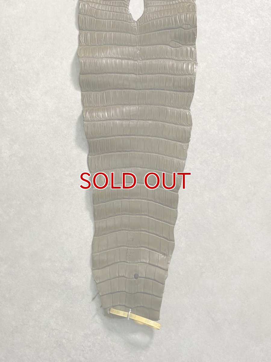 画像8: スモールクロコダイル　ポロサス　カーキ　36　ワニ革 (8)