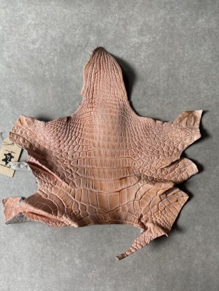 クロコダイル(ワニ革) 顎・尻尾・ハギレなど - レザークラフト